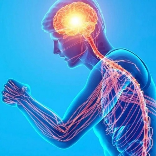 Neuro Athletiktrainer